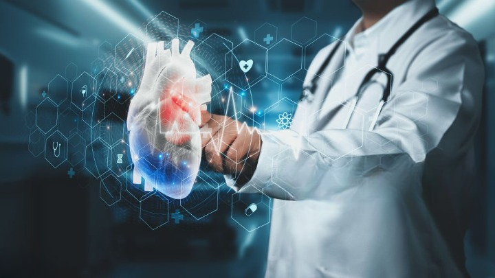 Shilajit et santé cardiaque : un trésor naturel pour un cœur en pleine forme